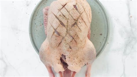 Master the Art of Achieving Perfectly Crispy Duck Skin with These Expert Tips