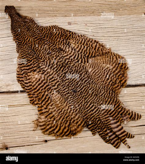 Feathered Fowl No More: Master the Art of How to Skin a Chicken with Ease!