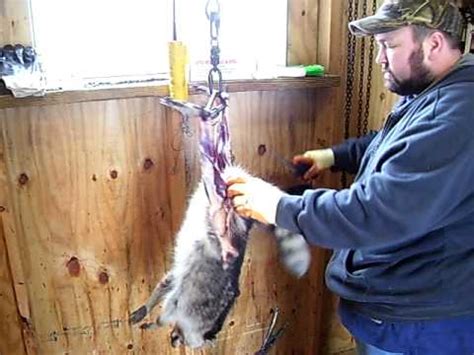 10 Easy Steps for Skinning a Coon - Expert Guide