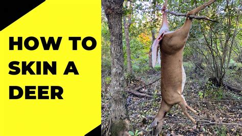 The Heartfelt Guide to Honoring Your Game: How to Ethically and Effectively Skin a Deer