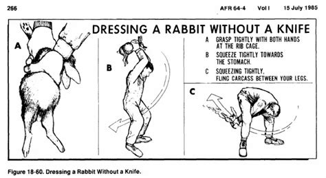 Unlock the Art of Skinning a Rabbit: Master the Techniques with Our Foolproof Guide