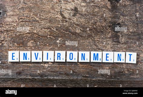 How To Spell Environment