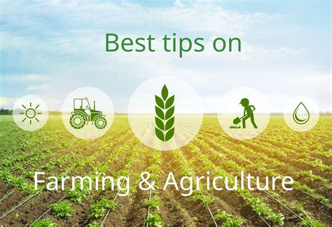 How To Start A Crop Farming Business