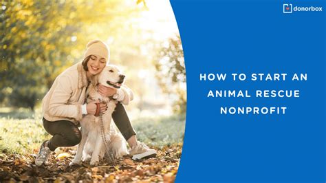 How To Start A Nonprofit Farm Animal Rescue