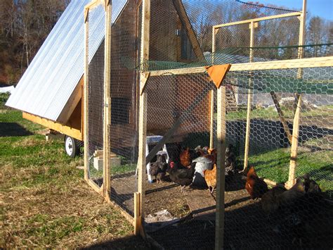 How To Start A Small Animal Home Farm