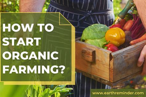 How To Start Organic Farming Business