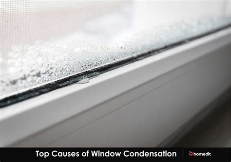 How To Stop Condensation On Windows According To Experts What Percentage