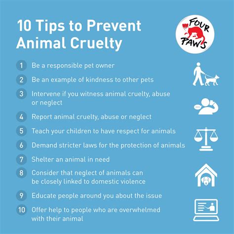 How To Stop Cruelty To Farm Animals