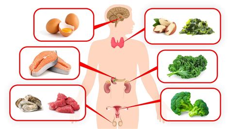 How To Support Your Endocrine System With Nutrition