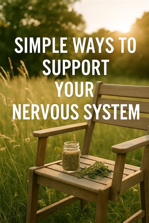 How To Support Your Nervous System Naturally