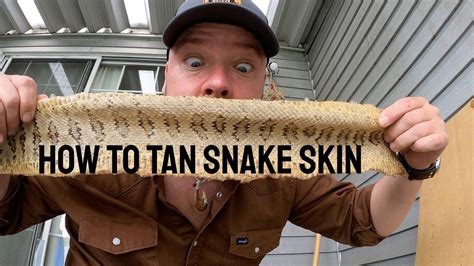 The Art of Preserving the Beauty of Nature: A Guide to Ethical and Delicate Snake Skin Tanning