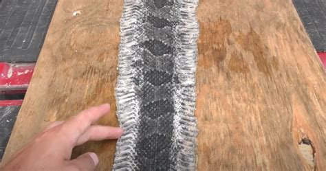 Unlock the Secret to Achieving Beautifully Tanned Snake Skin with Salt