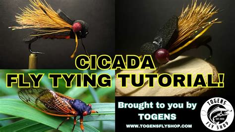 Master the Art of Fly Fishing: Learn How to Tie an Effective Cicada Fly
