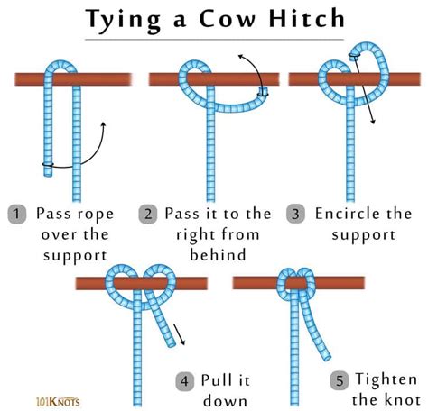 Learn How To Tie A Cow Hitch Easily: Step-by-Step Guide