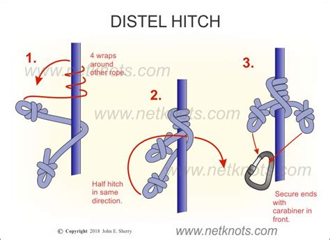 Master the Art of Knot-tying: Learn How to Tie a Distel Hitch in 5 Simple Steps
