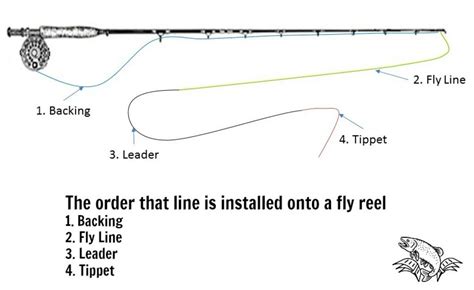 Mastering the Art of Fly Fishing: Step-by-Step Guide to Tying a Fly Line, Leader, and Tippet