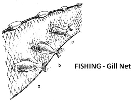 Master the Art of Fishing with Ease: Learn How to Tie a Gill Net in Simple Steps
