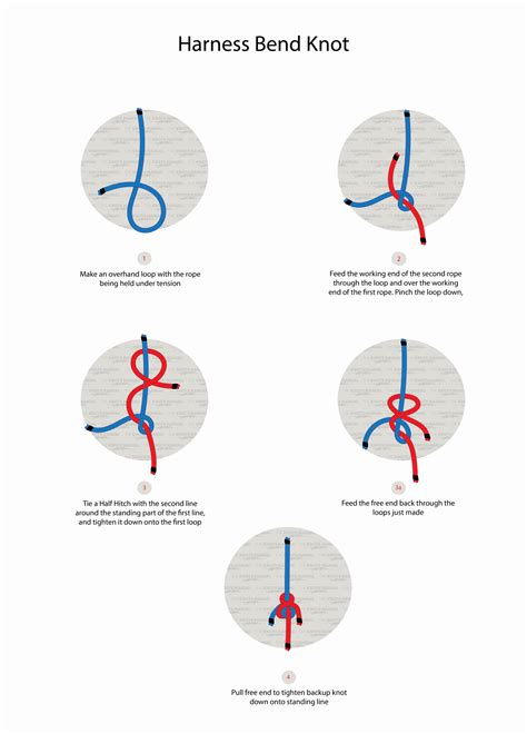 Master the Art of Tying a Harness: Easy Step-by-Step Guide for Beginners