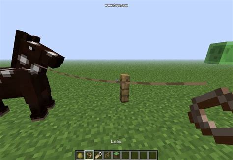 Learn How to Tie a Horse in Minecraft: Step-by-Step Guide for Horse Taming