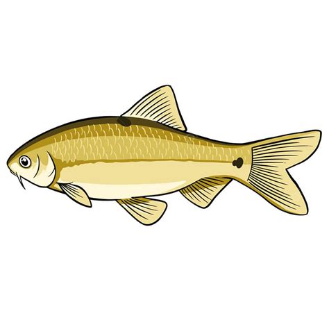 Master the Art of Fishing: Learn How to Tie a Perfect Knot with Your Fishing Line