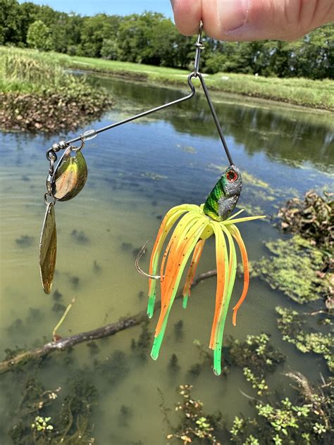 Master the Art of Bass Fishing: Learn How to Tie a Lure Perfectly!