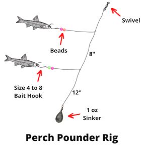Mastering How to Tie a Perch Rig: Tips and Techniques for Successful Fishing