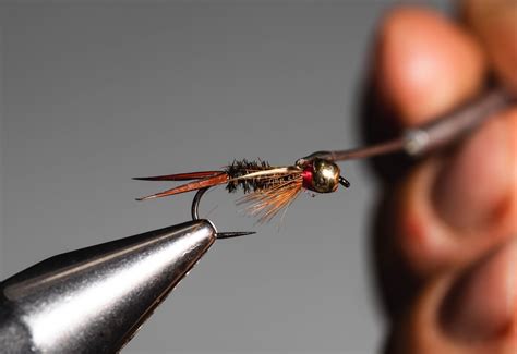 Master the Art of Fly Tying: A Step-by-Step Guide on How to Tie a Prince Nymph