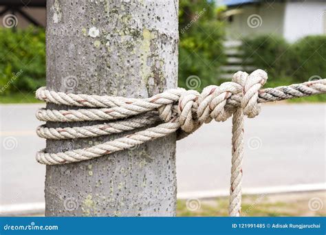 Master the art of knotting: Learn How to Tie a Rope Around a Tree Trunk with Ease