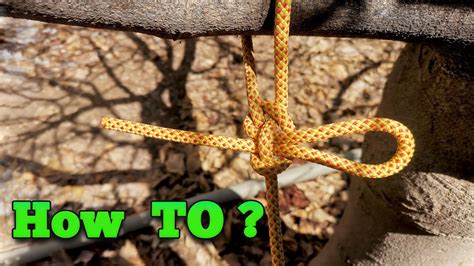 Expert Guide: Learn How to Properly Tie a Rope to a Tree for Maximum Stability and Durability