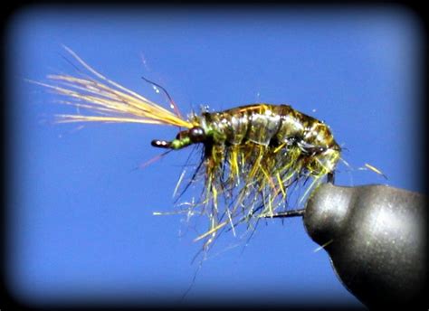 Expert Tips on How to Perfectly Tie a Scud Fly for Successful Fly Fishing