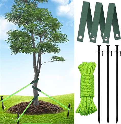 Master the Art of Tree Tying with These Simple Tips and Techniques