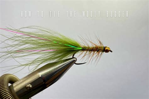 Master the Art of Fly Fishing: Learn How to Tie a Wooly Bugger with These Easy Steps!
