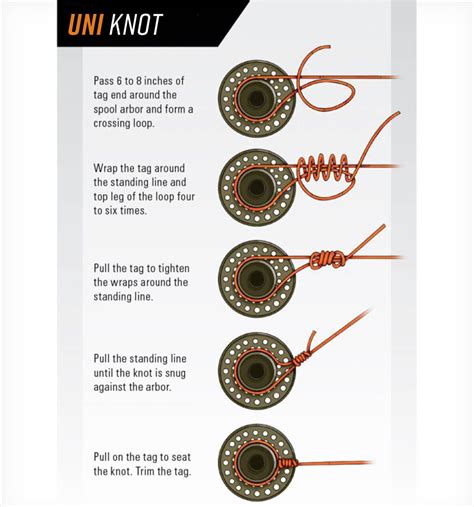 Master the Art of Fly Fishing: Step-by-Step Guide on How to Tie On a Fly