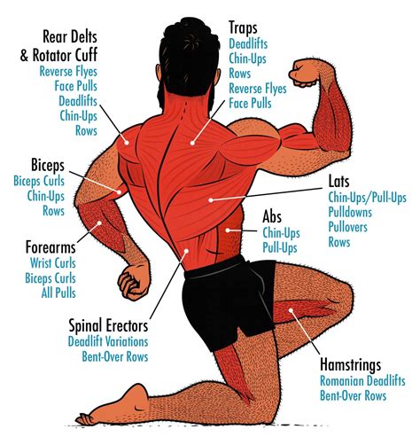 How To Train Muscle Up
