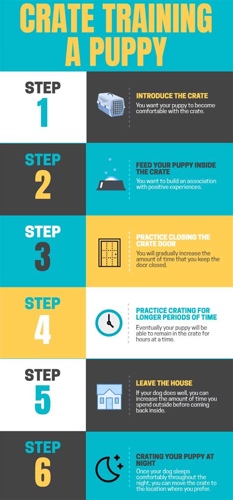 How To Train Street Dog Puppy