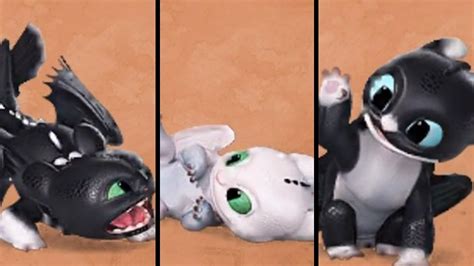 Raising Toothless Babies: Tips and Tricks for Training Your Dragons in How To Train Your Dragon 3