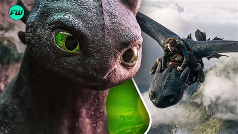 After Credits: Unlocking The Hidden Secrets of How To Train Your Dragon's Training Techniques