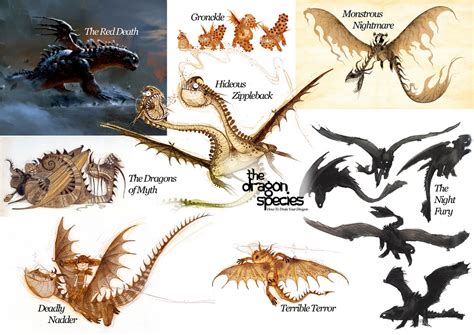 Unleash Your Dragon Trainer Skills: A Comprehensive Guide on How to Train Your Dragon Breeds