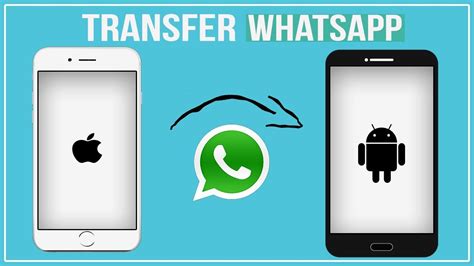 How To Transfer WhatsApp from iPhone to Android