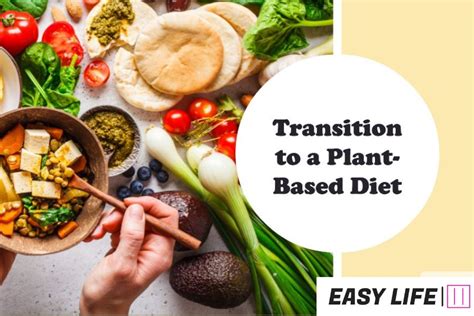 How To Transition To A Plant-Based Diet