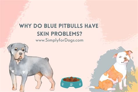 Unleash the Secret to Banishing Blue Pitbull Skin Issues: A Comprehensive Guide to Effective Care