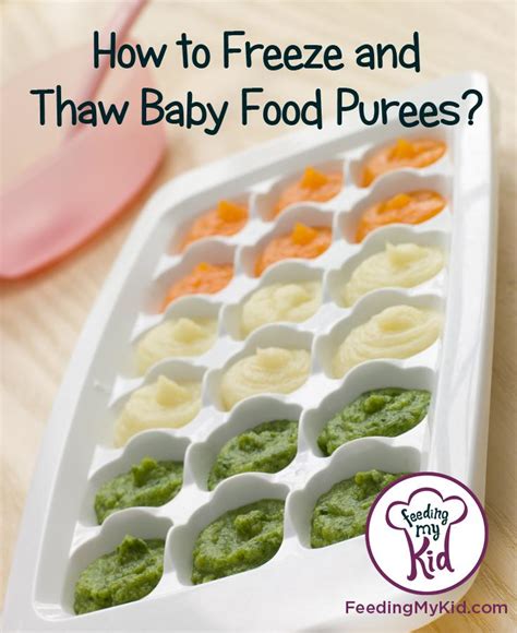 How To Unfreeze Baby Food