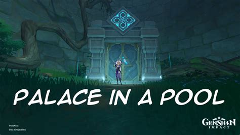 How To Unlock Palace In A Pool Domain