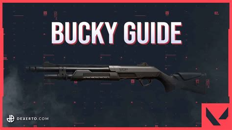 How To Use Bucky Valorant
