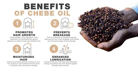 The Practical Application: How to Use Chebe Oil Effectively