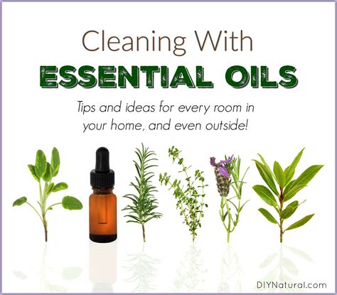 How To Use Essential Oils For Natural Cleaning