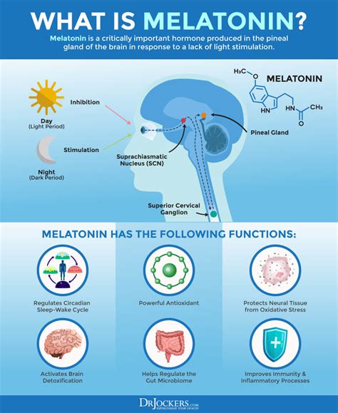 How To Use Melatonin For Better Rest And Recovery