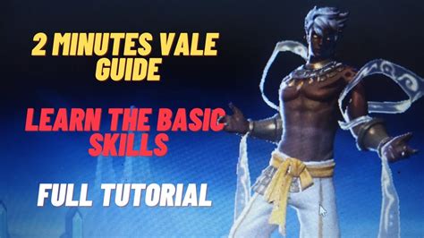 How To Use Vale