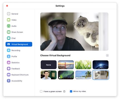 How To Use Virtual Background Zoom Ipad
