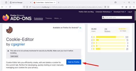 How To Use the Cookie Editor Extension